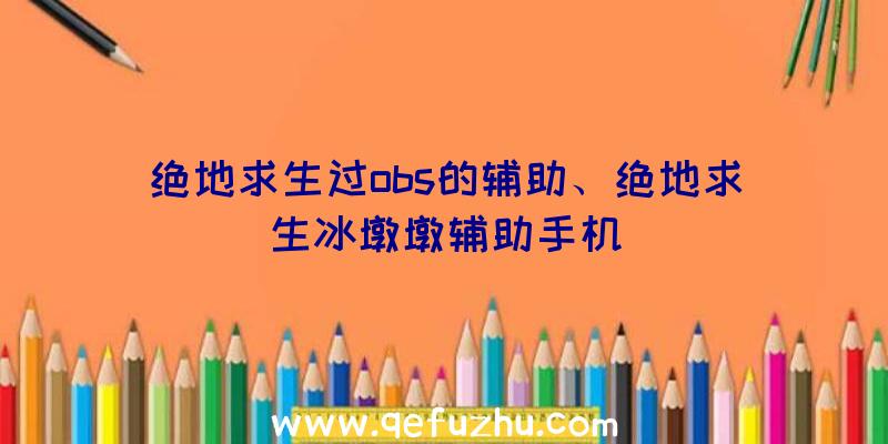 绝地求生过obs的辅助、绝地求生冰墩墩辅助手机