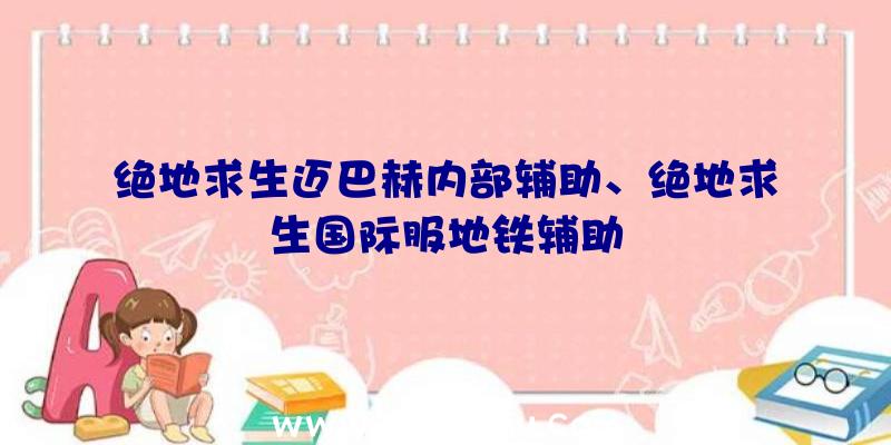 绝地求生迈巴赫内部辅助、绝地求生国际服地铁辅助