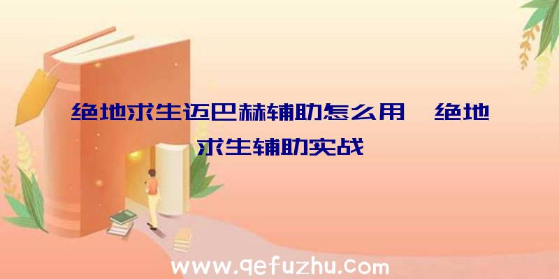 绝地求生迈巴赫辅助怎么用、绝地求生辅助实战