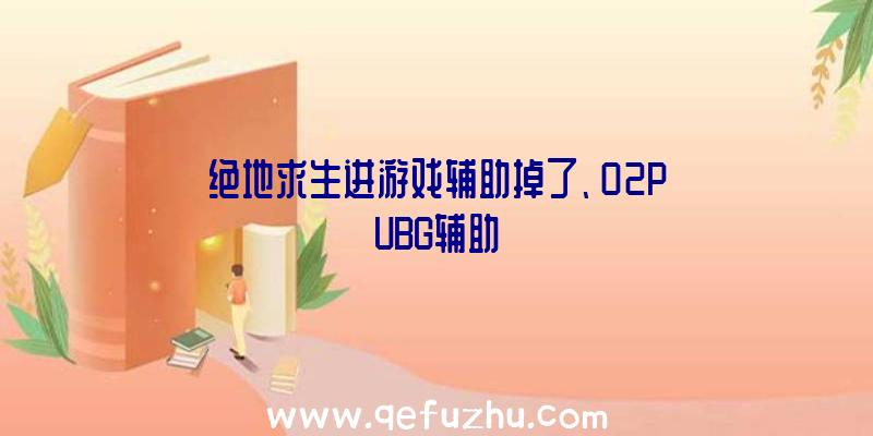 绝地求生进游戏辅助掉了、02PUBG辅助