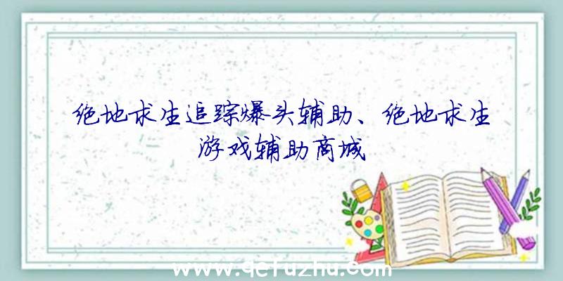 绝地求生追踪爆头辅助、绝地求生游戏辅助商城