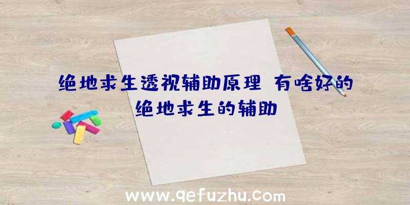 绝地求生透视辅助原理、有啥好的绝地求生的辅助