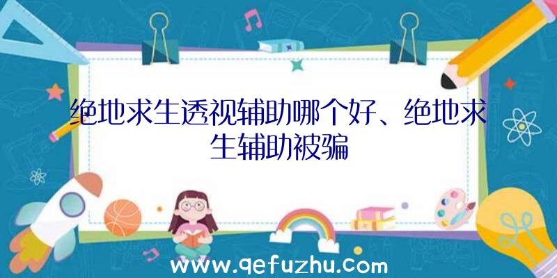 绝地求生透视辅助哪个好、绝地求生辅助被骗