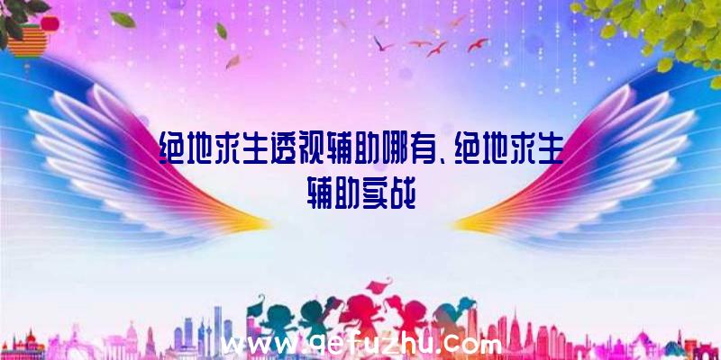 绝地求生透视辅助哪有、绝地求生辅助实战