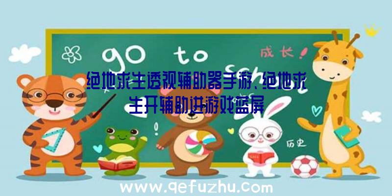 绝地求生透视辅助器手游、绝地求生开辅助进游戏蓝屏