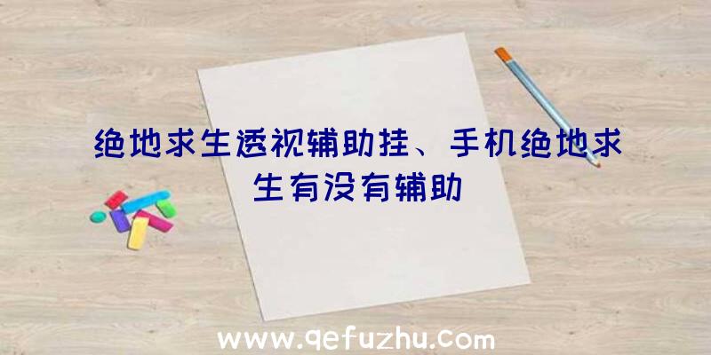 绝地求生透视辅助挂、手机绝地求生有没有辅助