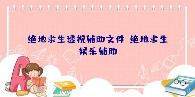 绝地求生透视辅助文件、绝地求生娱乐辅助