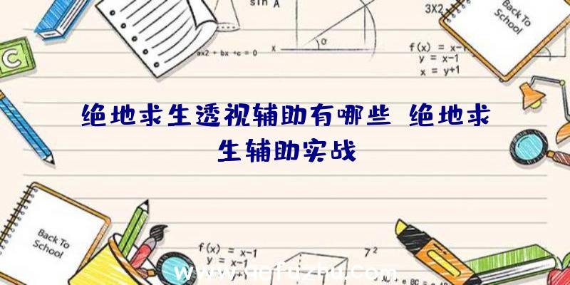 绝地求生透视辅助有哪些、绝地求生辅助实战