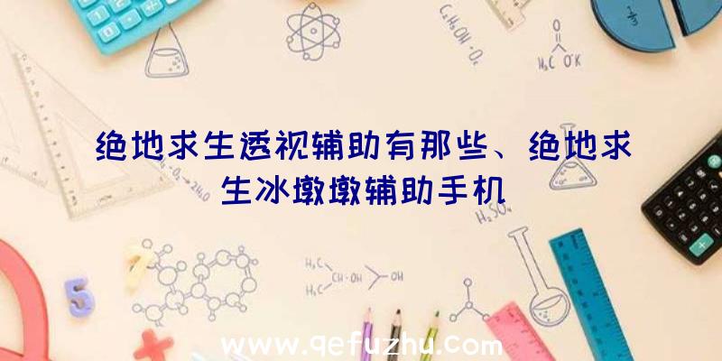 绝地求生透视辅助有那些、绝地求生冰墩墩辅助手机