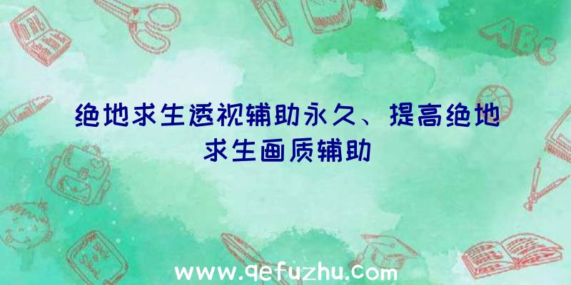 绝地求生透视辅助永久、提高绝地求生画质辅助