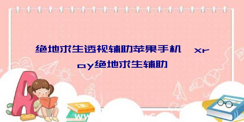 绝地求生透视辅助苹果手机、xray绝地求生辅助