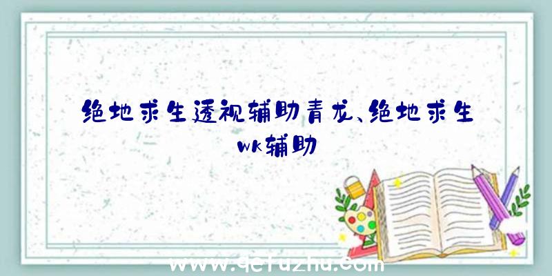 绝地求生透视辅助青龙、绝地求生wk辅助