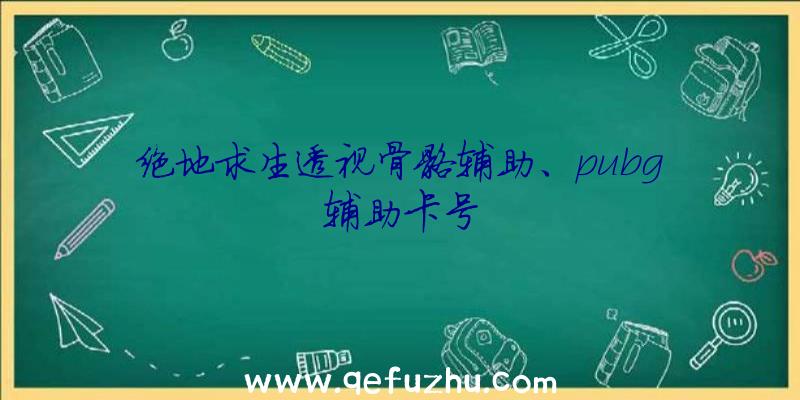 绝地求生透视骨骼辅助、pubg辅助卡号