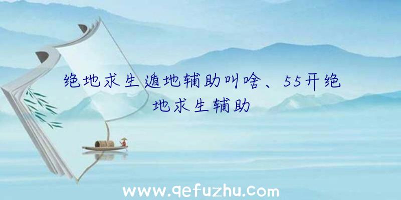 绝地求生遁地辅助叫啥、55开绝地求生辅助