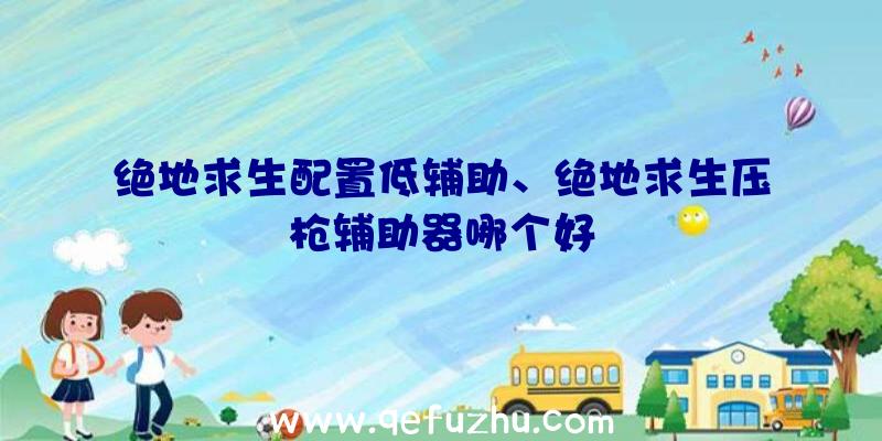 绝地求生配置低辅助、绝地求生压枪辅助器哪个好