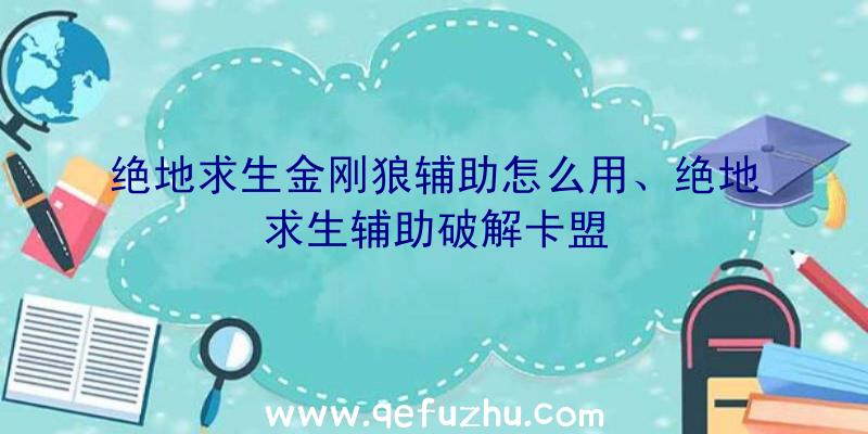 绝地求生金刚狼辅助怎么用、绝地求生辅助破解卡盟