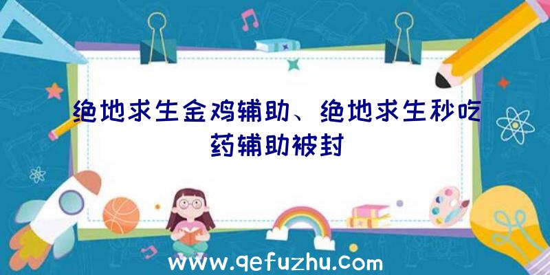 绝地求生金鸡辅助、绝地求生秒吃药辅助被封