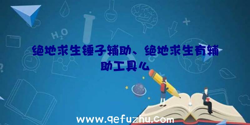 绝地求生锤子辅助、绝地求生有辅助工具么