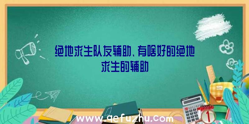 绝地求生队友辅助、有啥好的绝地求生的辅助