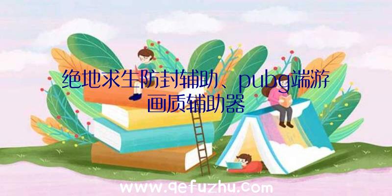 绝地求生防封辅助、pubg端游画质辅助器