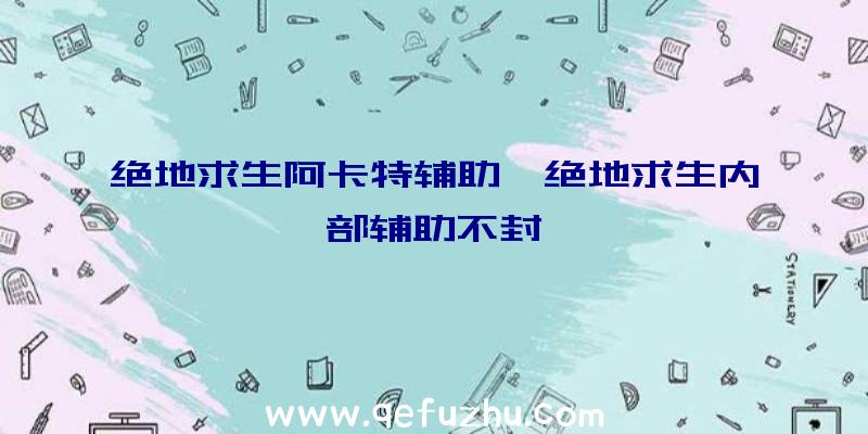 绝地求生阿卡特辅助、绝地求生内部辅助不封