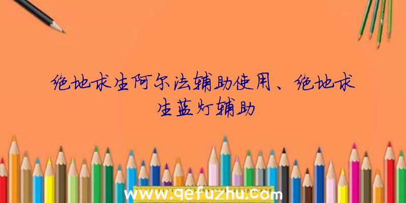 绝地求生阿尔法辅助使用、绝地求生蓝灯辅助