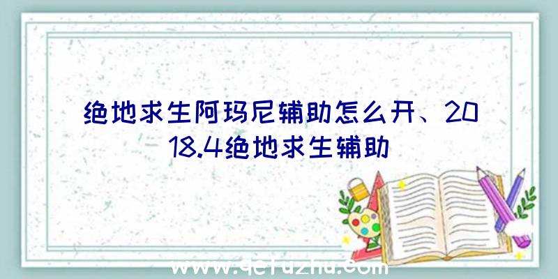 绝地求生阿玛尼辅助怎么开、2018.4绝地求生辅助