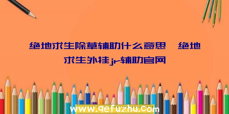 绝地求生除草辅助什么意思、绝地求生外挂jr辅助官网