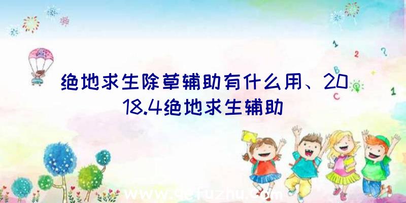 绝地求生除草辅助有什么用、2018.4绝地求生辅助