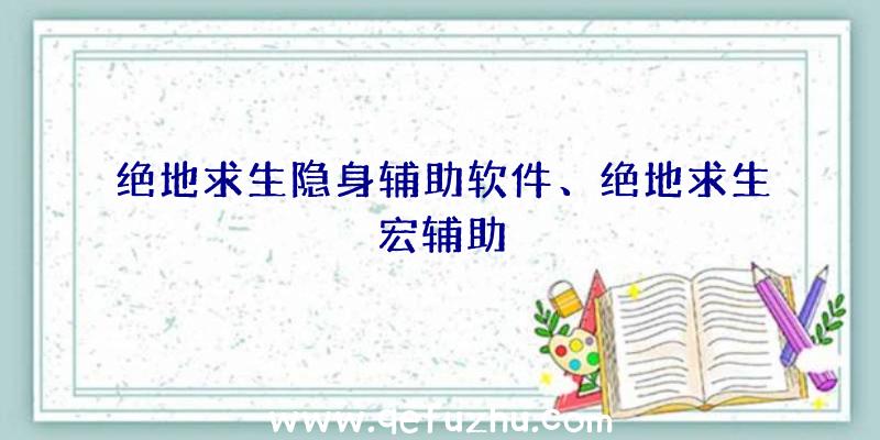 绝地求生隐身辅助软件、绝地求生宏辅助