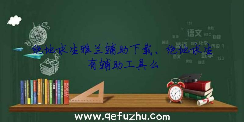 绝地求生雅兰辅助下载、绝地求生有辅助工具么