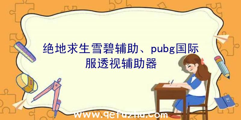 绝地求生雪碧辅助、pubg国际服透视辅助器