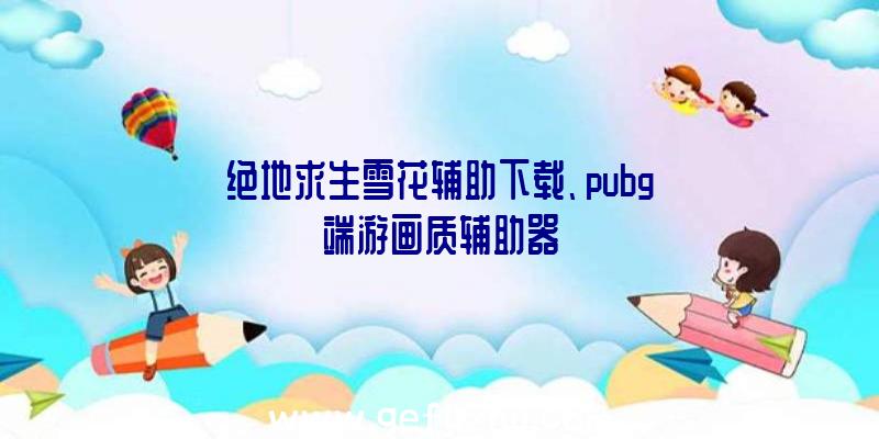 绝地求生雪花辅助下载、pubg端游画质辅助器