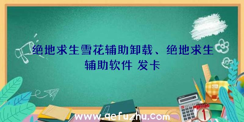 绝地求生雪花辅助卸载、绝地求生辅助软件