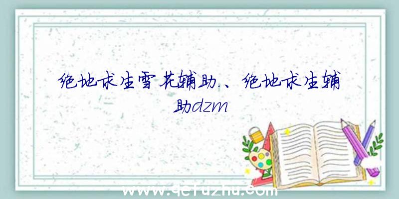 绝地求生雪花辅助.、绝地求生辅助dzm