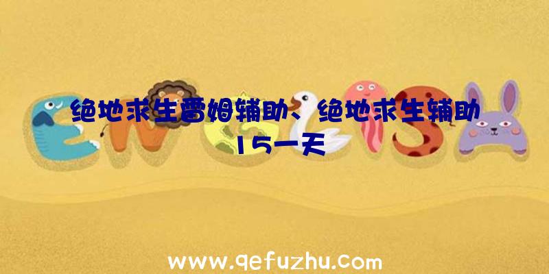 绝地求生雷姆辅助、绝地求生辅助15一天