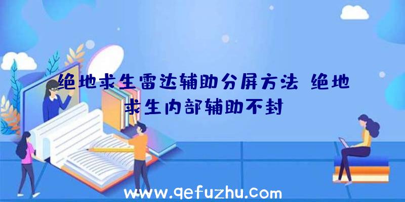 绝地求生雷达辅助分屏方法、绝地求生内部辅助不封