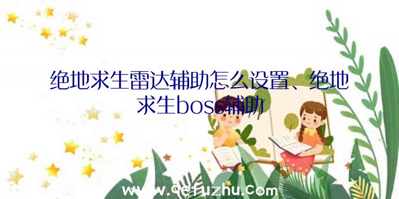 绝地求生雷达辅助怎么设置、绝地求生boss辅助