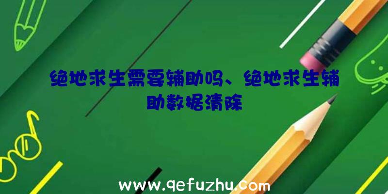 绝地求生需要辅助吗、绝地求生辅助数据清除