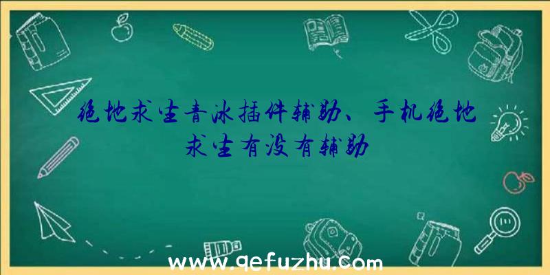 绝地求生青冰插件辅助、手机绝地求生有没有辅助