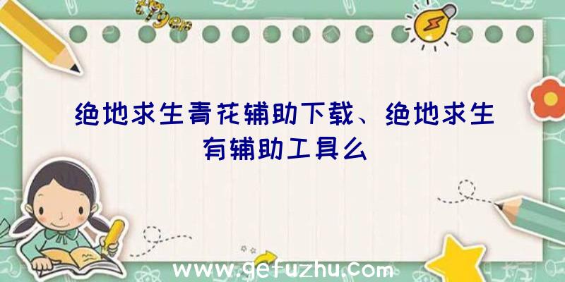 绝地求生青花辅助下载、绝地求生有辅助工具么