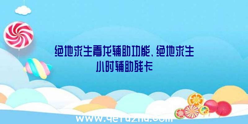 绝地求生青龙辅助功能、绝地求生小时辅助残卡