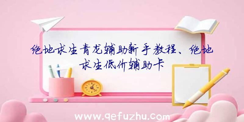 绝地求生青龙辅助新手教程、绝地求生低价辅助卡