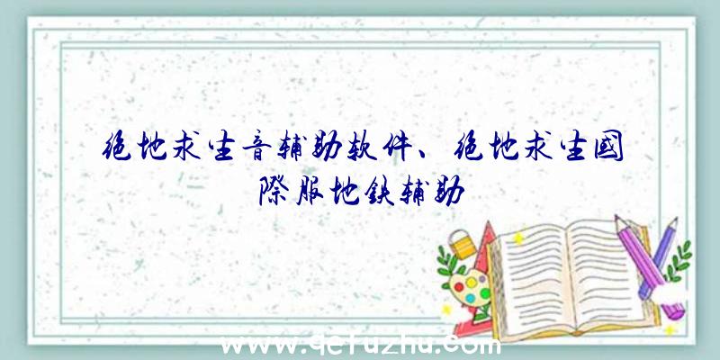 绝地求生音辅助软件、绝地求生国际服地铁辅助