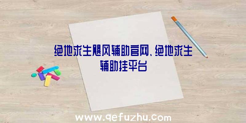 绝地求生飓风辅助官网、绝地求生辅助挂平台