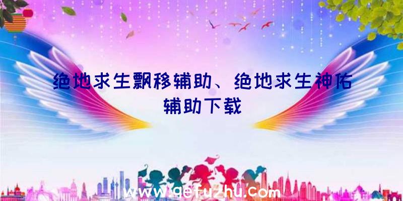 绝地求生飘移辅助、绝地求生神佑辅助下载