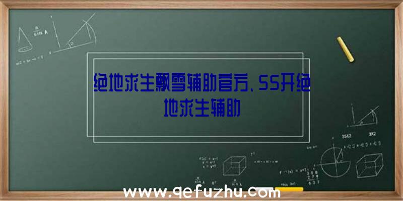 绝地求生飘雪辅助官方、55开绝地求生辅助