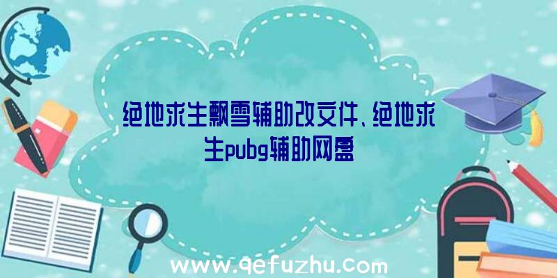 绝地求生飘雪辅助改文件、绝地求生pubg辅助网盘