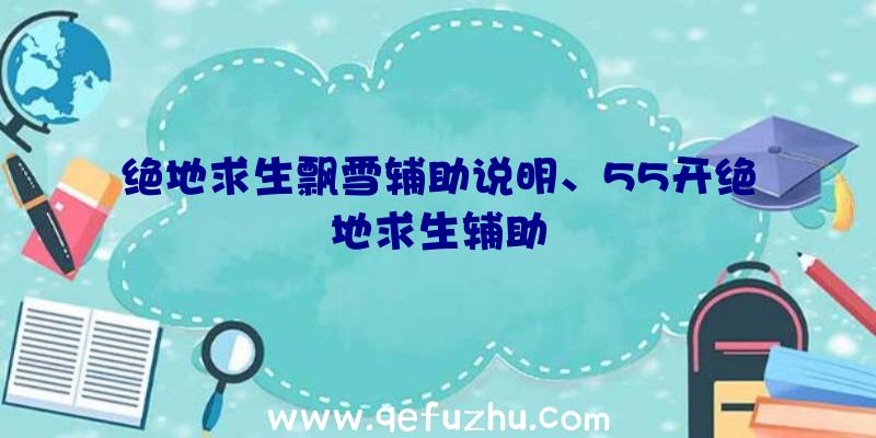 绝地求生飘雪辅助说明、55开绝地求生辅助