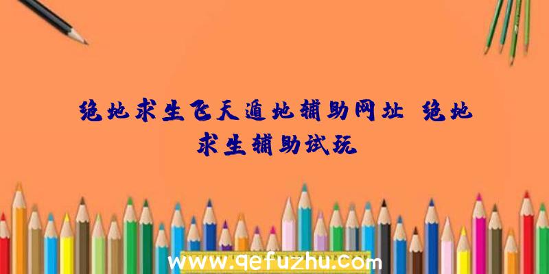 绝地求生飞天遁地辅助网址、绝地求生辅助试玩